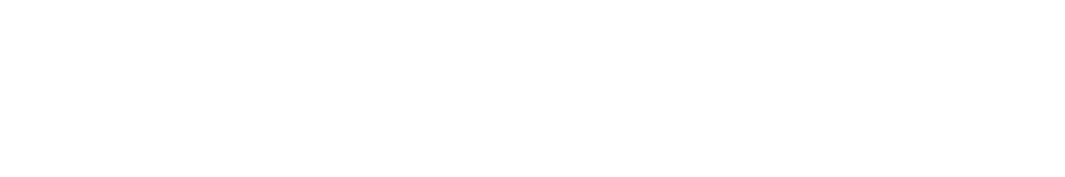 PONCINI